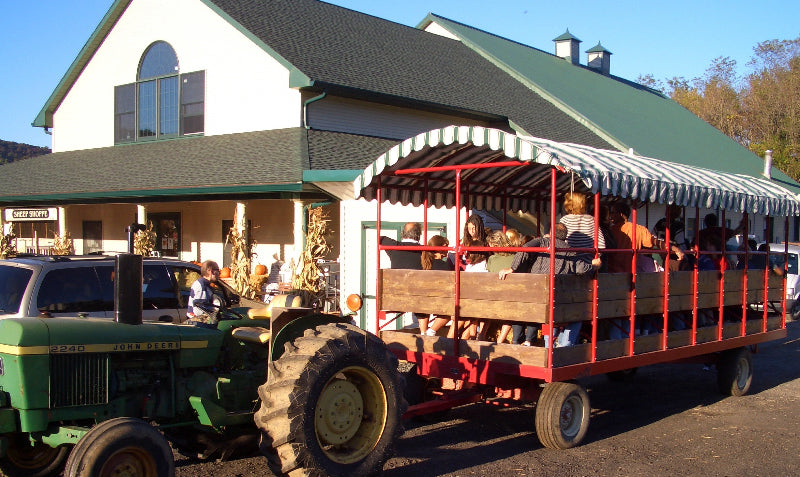 Cave-Wagon tours 2026